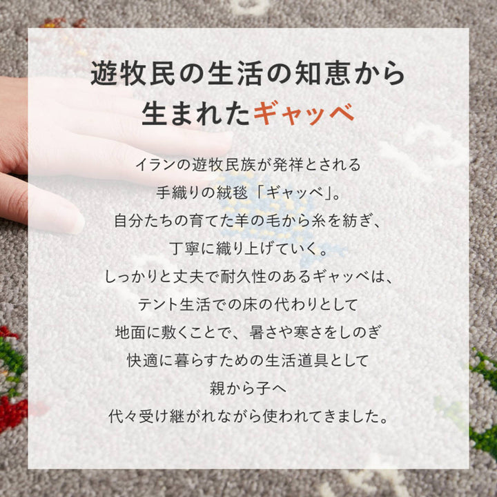 玄関マット室内GABBEHヌメロ60×90