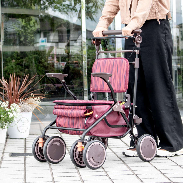 シルバーカースタンダードカゴノアL