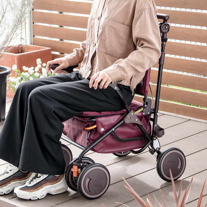 シルバーカースタンダードカゴノアL