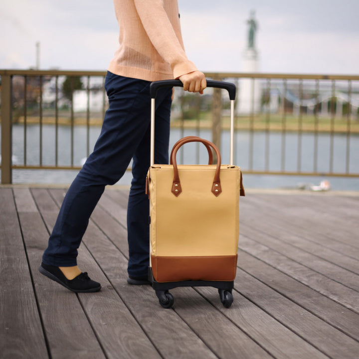 ショッピングカートテイコブおとなりカートボックスタイプ