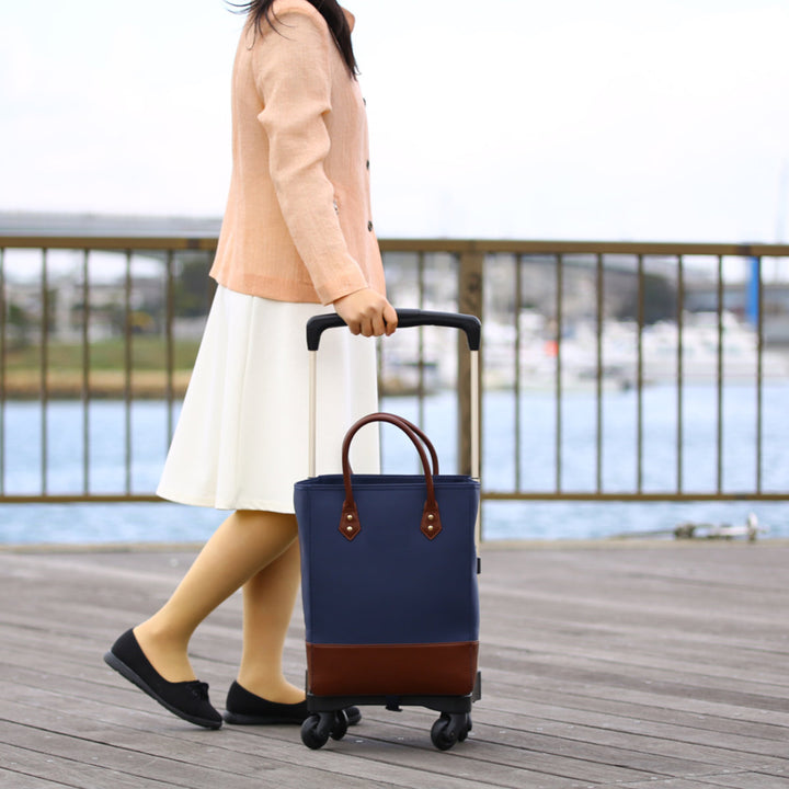 ショッピングカートテイコブおとなりカートボックスタイプ