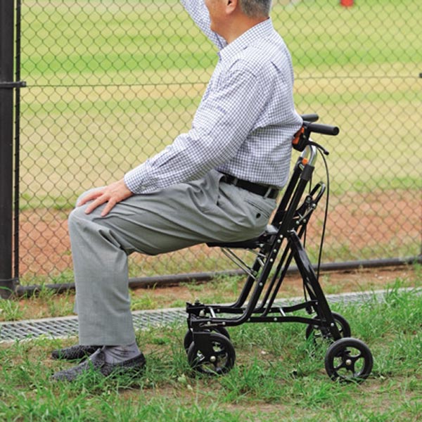 シルバーカーミドルタイプスタッグ