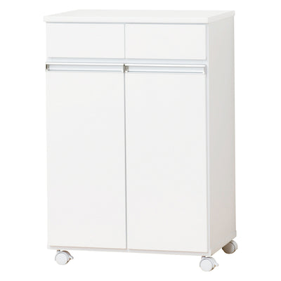 ゴミ箱 38L 2分別 カウンター型 幅55cm 完成品