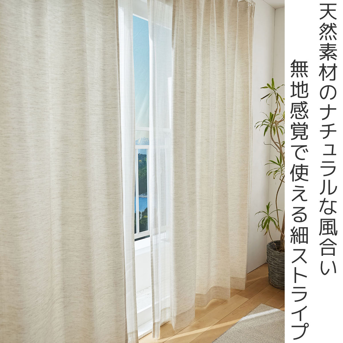 カーテン スミノエ ドレープカーテン コルネ ファン Fin 100×178cm