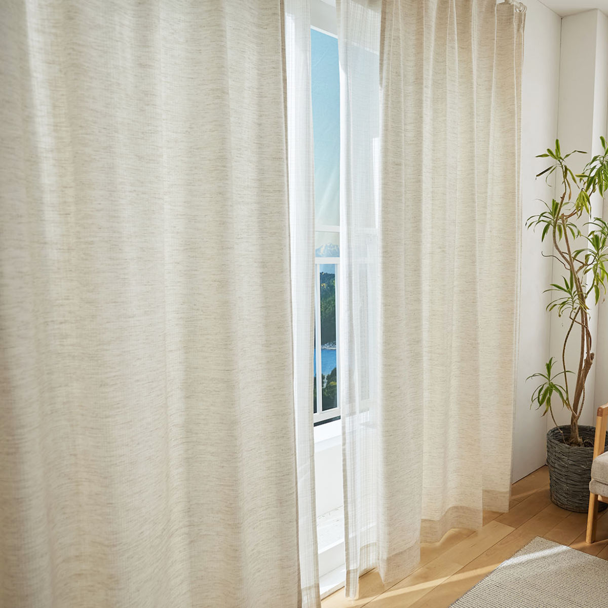 カーテン スミノエ ドレープカーテン コルネ ファン Fin 100×178cm