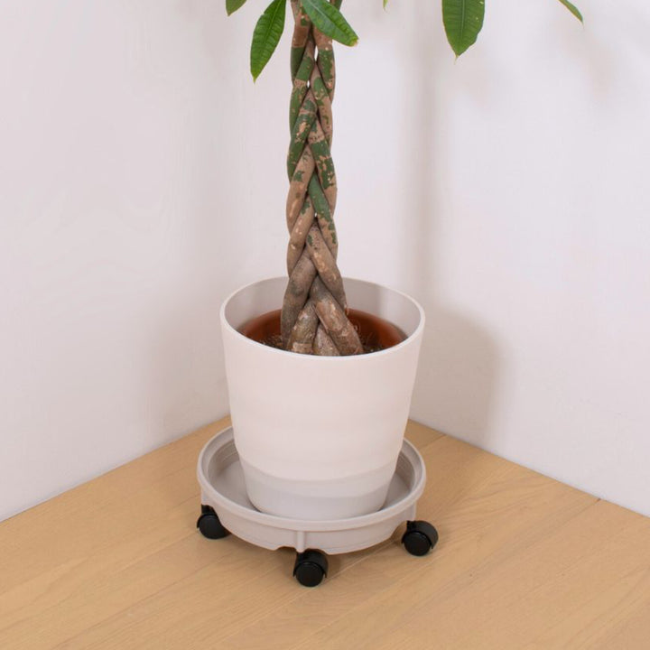 花台鉢受プレートキャスター付350型