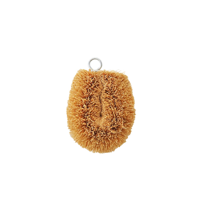 たわし亀の子束子パームチビッコホワイト