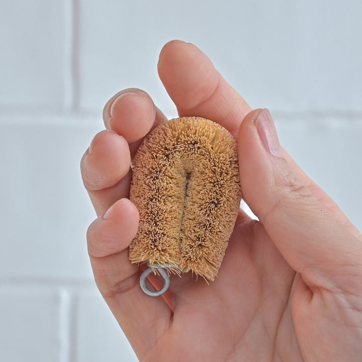 たわし亀の子束子亀の子たわしCoCo