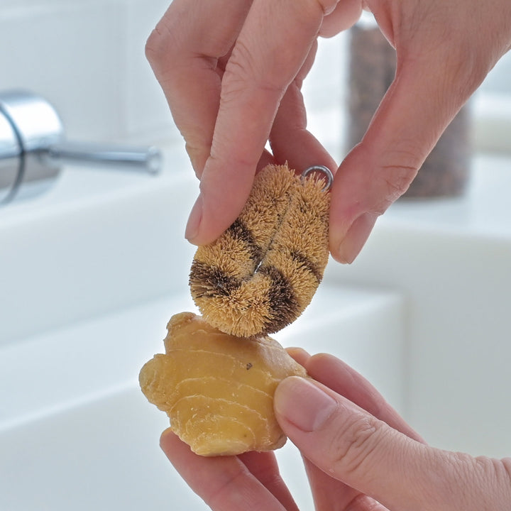 たわし亀の子束子亀の子たわしCoCo