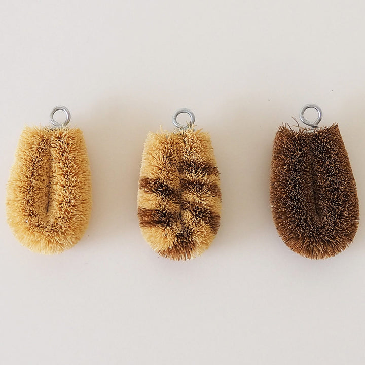 たわし亀の子束子亀の子たわしCoCo