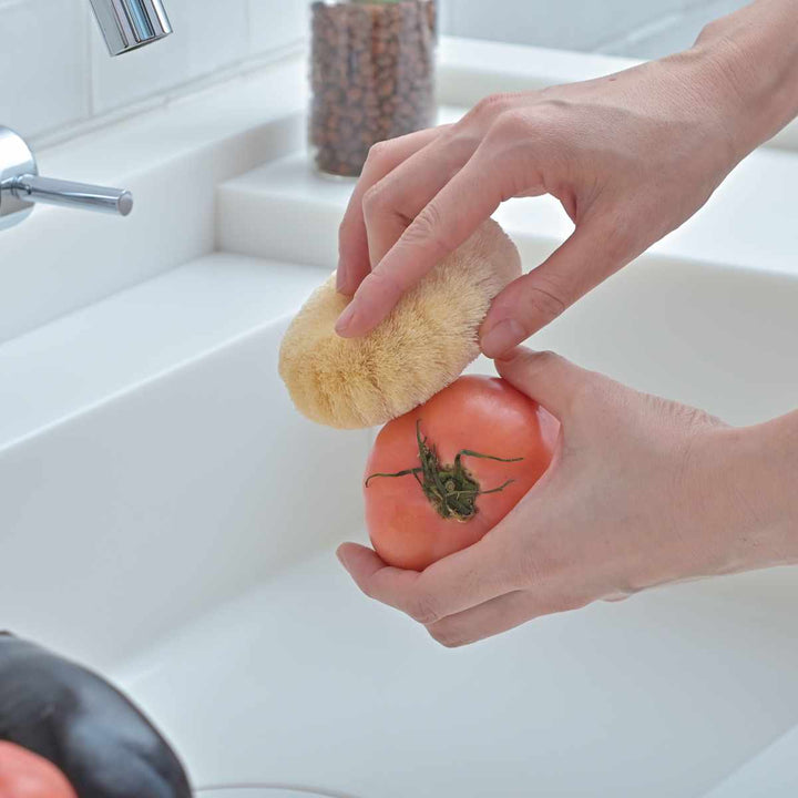 キッチンタワシ亀の子束子白いたわしサイザル麻小