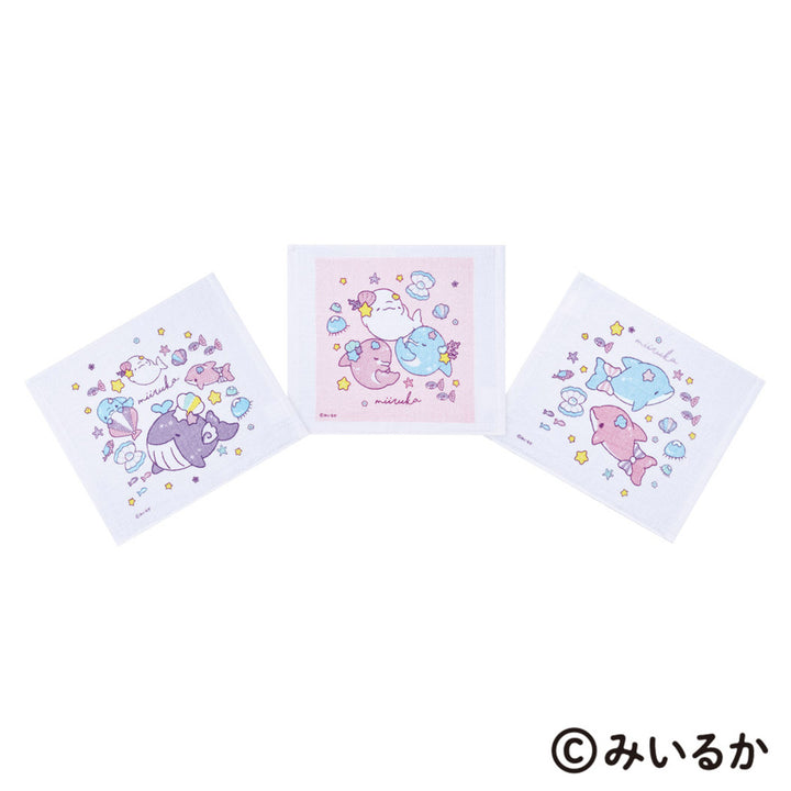 おしぼりタオル3枚みいるか