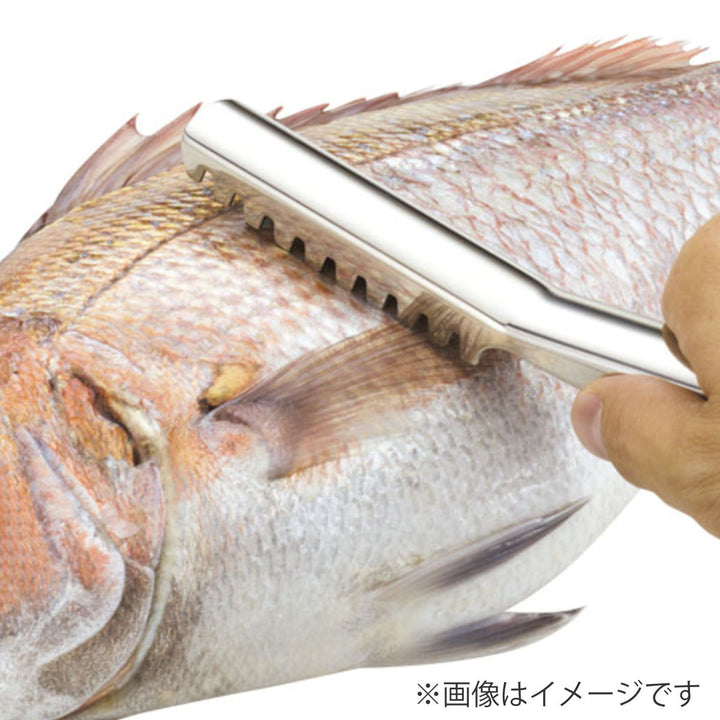 魚のうろこ取りステンレス製食洗機対応