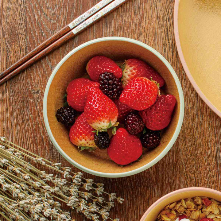 保存容器500ml抗菌保存容器ディズニーミッキーBPAフリー