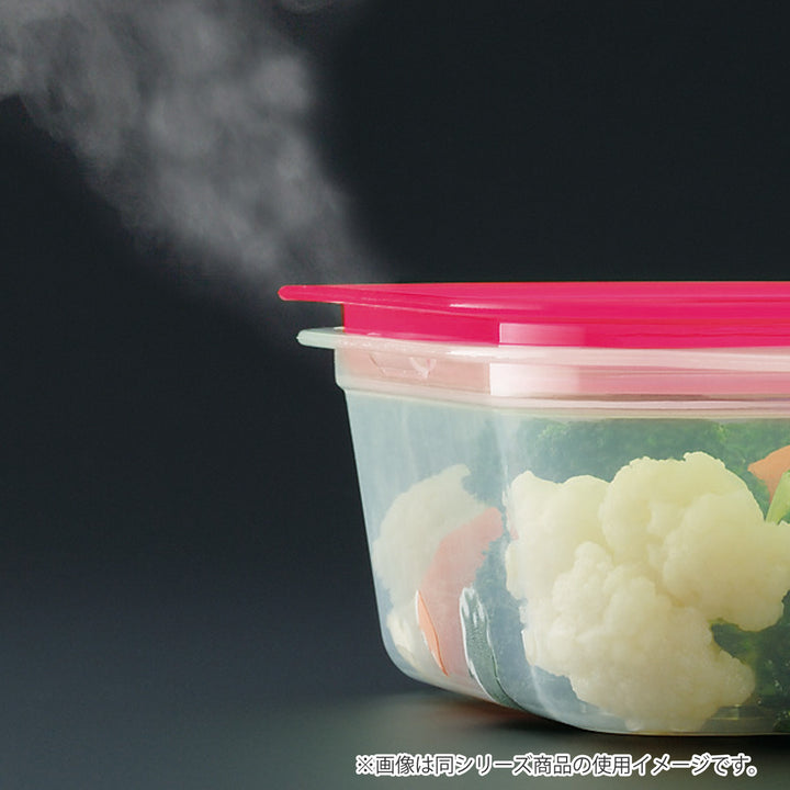 保存容器楽ちんパックごはん一膳用4色組