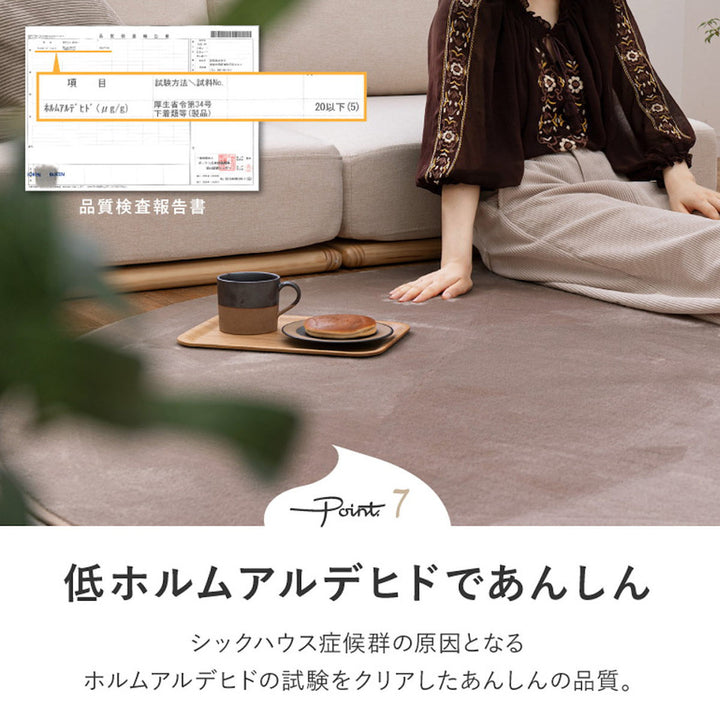 ラグ洗えるメレンゲタッチの洗えるコンパクトラグ160x220楕円形