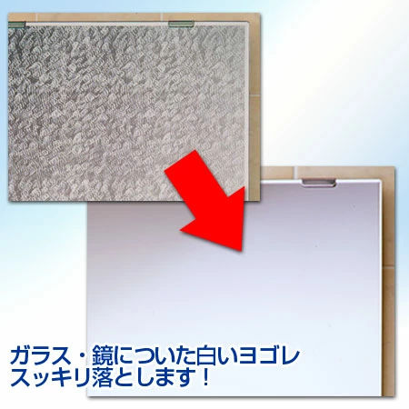 鈴木油脂ウロコとり一発300ｇ