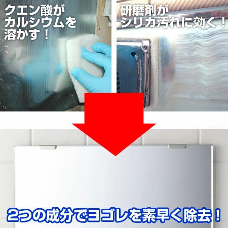 鈴木油脂ウロコとり一発300ｇ