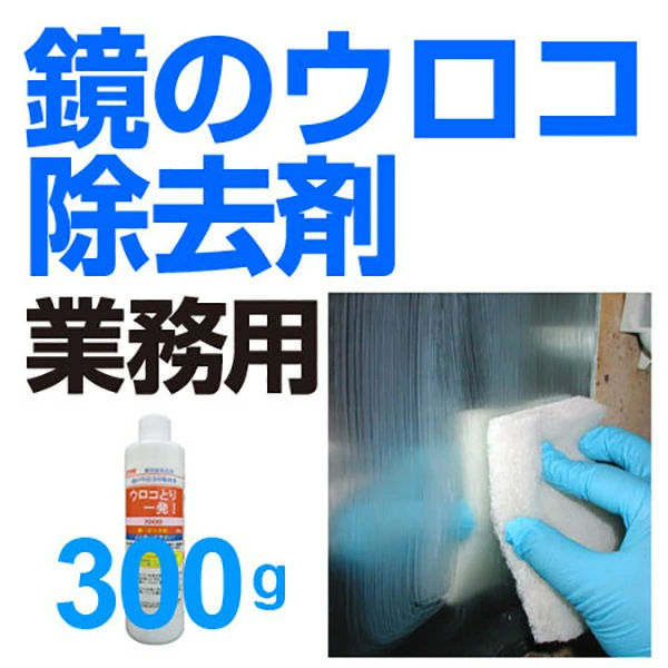 鈴木油脂ウロコとり一発300ｇ