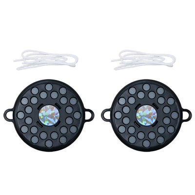 害鳥対策 トリサール 2個入り