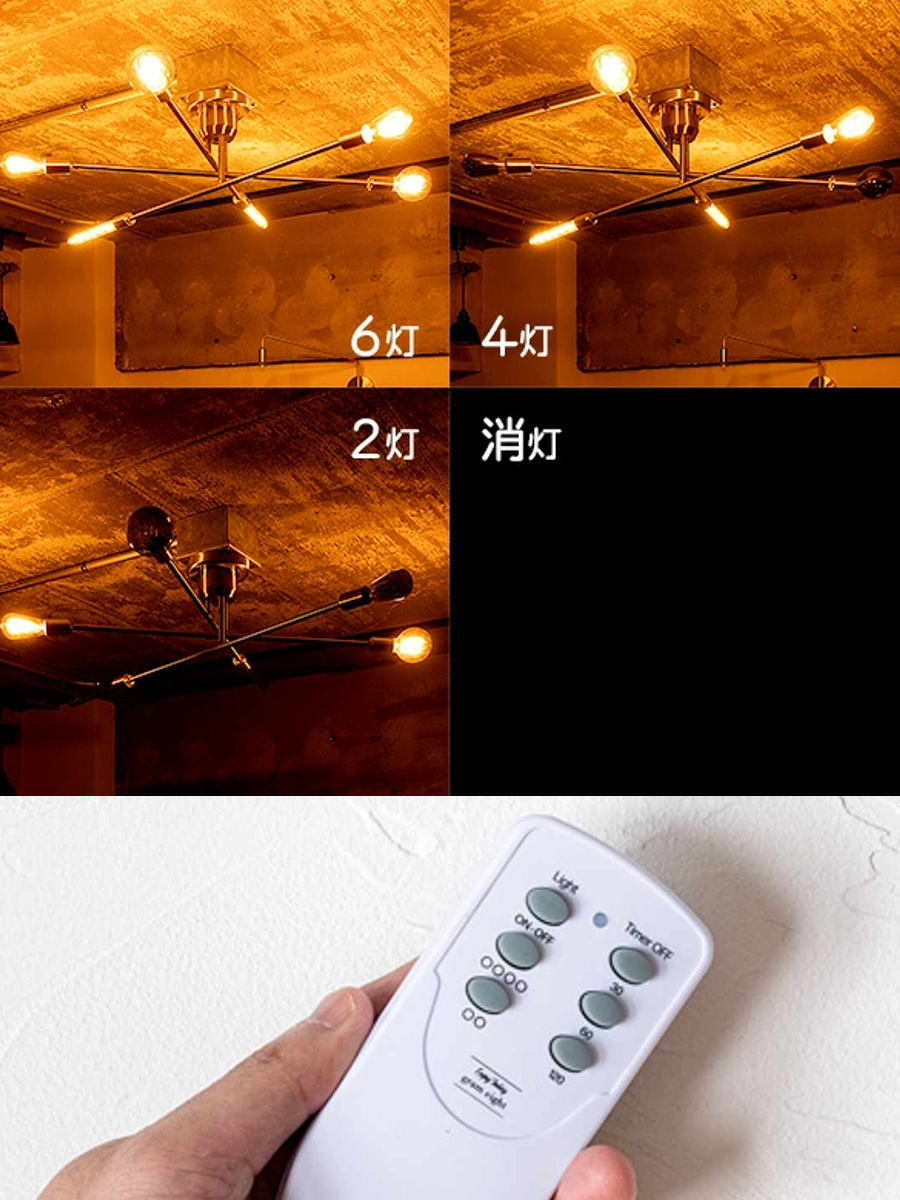 13845578_6