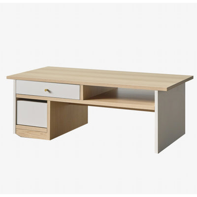 センターテーブル 幅99cm 収納付き