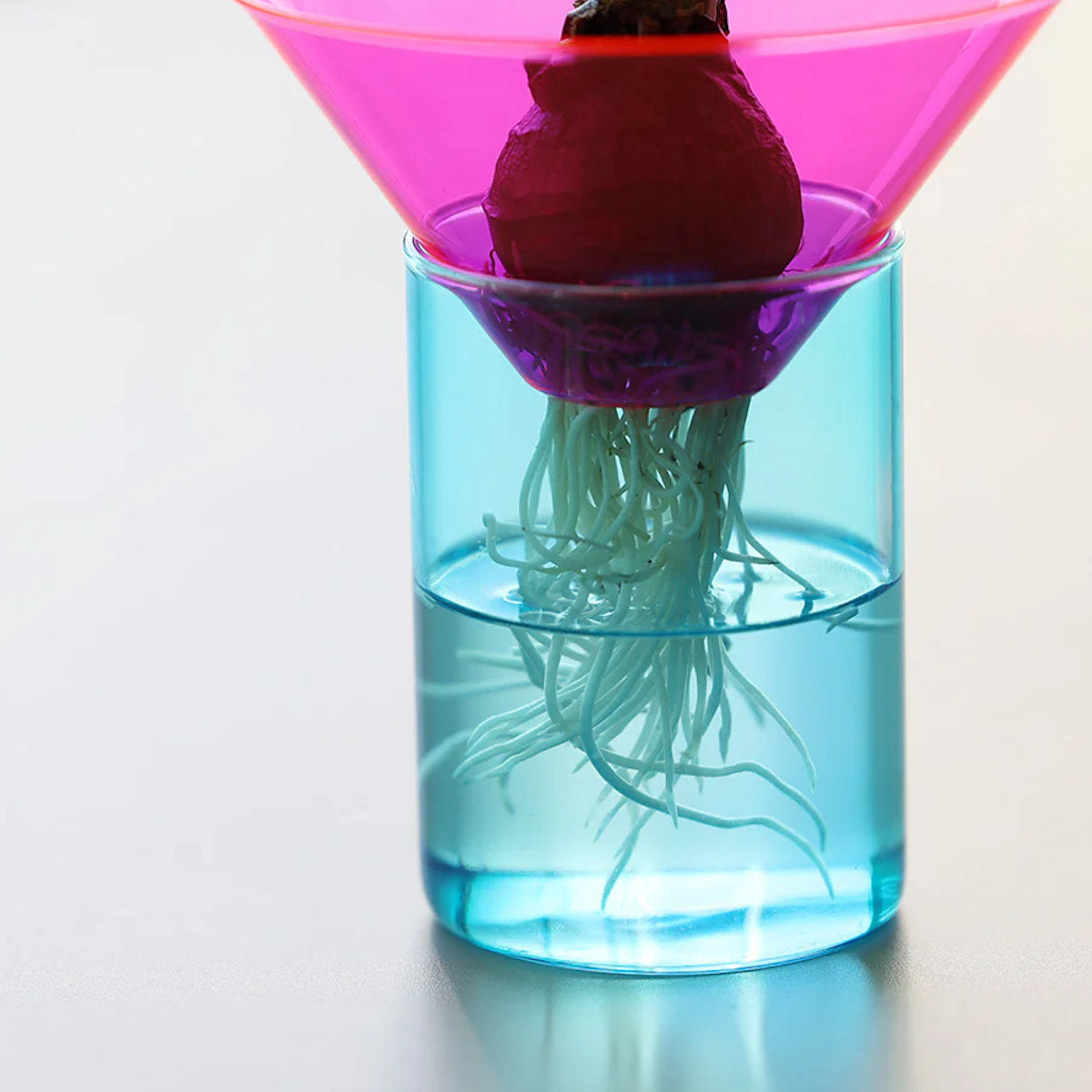 ALUM BAY GLASS フラワーベース フラワーベース GLOW GROW AQUA BLOOM ガラス – ハウジー