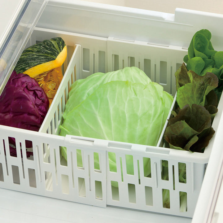 冷蔵庫収納4点セットトトノ野菜室冷凍庫伸縮ストッカー