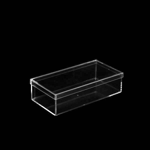 小物入れ　ふた付き　L　深型　小物収納　クリア　プラスチック　透明　収納　デスコシリーズ