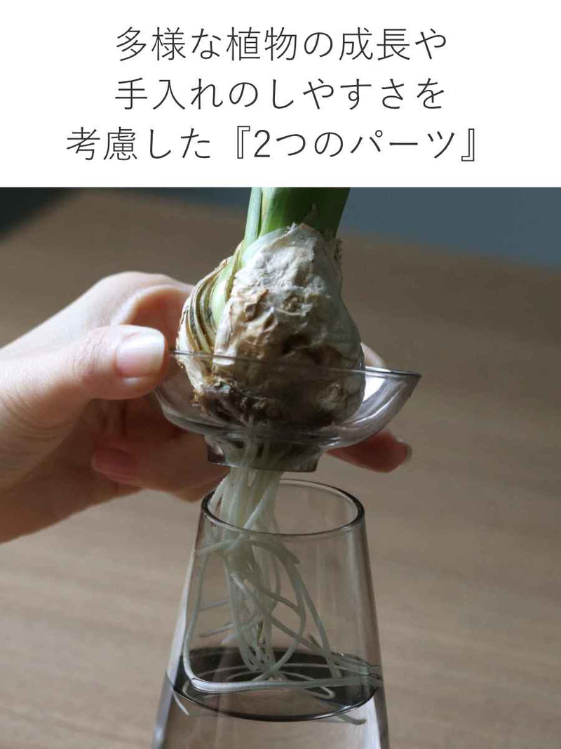 キントー 花器 AQUA CULTURE VASE Sサイズ ガラス 花瓶 おしゃれ -5