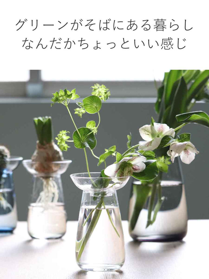 キントー 花器 AQUA CULTURE VASE Sサイズ ガラス 花瓶 おしゃれ -8