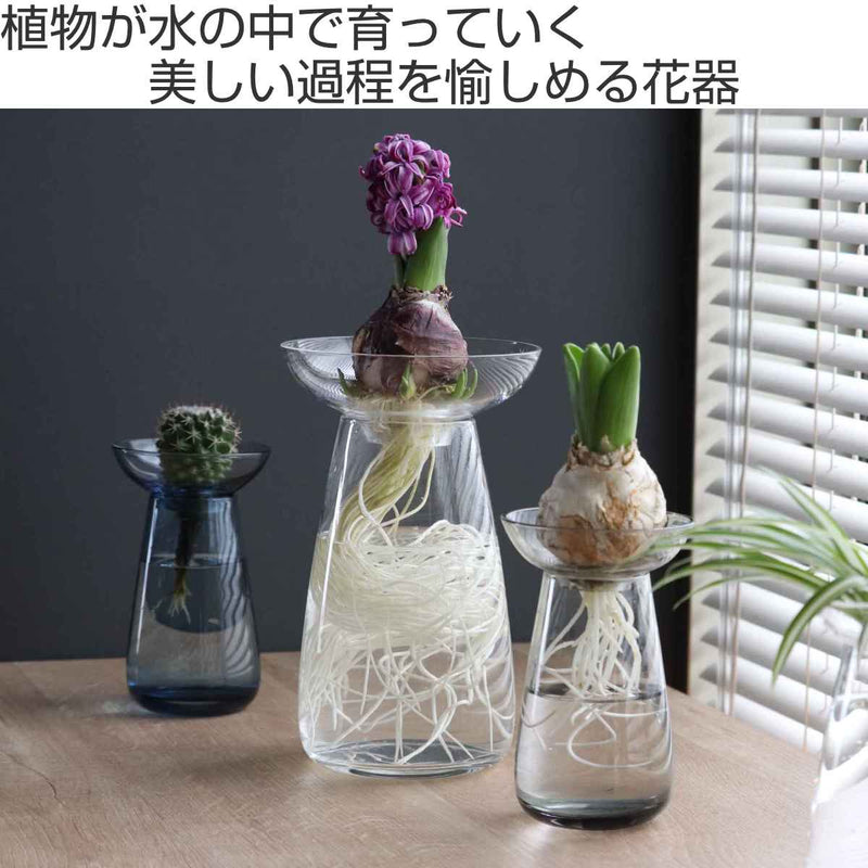 キントー 花器 AQUA CULTURE VASE Lサイズ ガラス 花瓶 おしゃれ -3