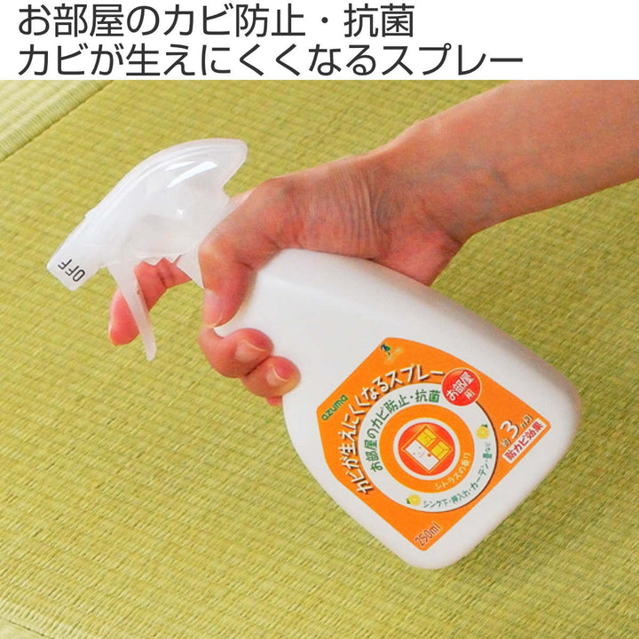 カビが生えにくくなるスプレー部屋用