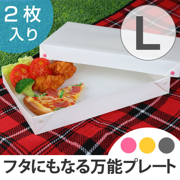プレート プラスチック 食器 L HOH  組み立て 2枚入り 日本製