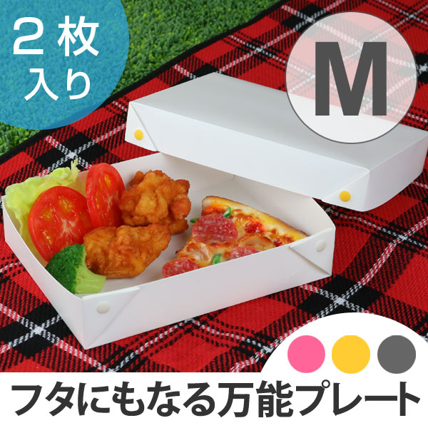 プレート プラスチック 食器 M HOH  組み立て 2枚入り 日本製