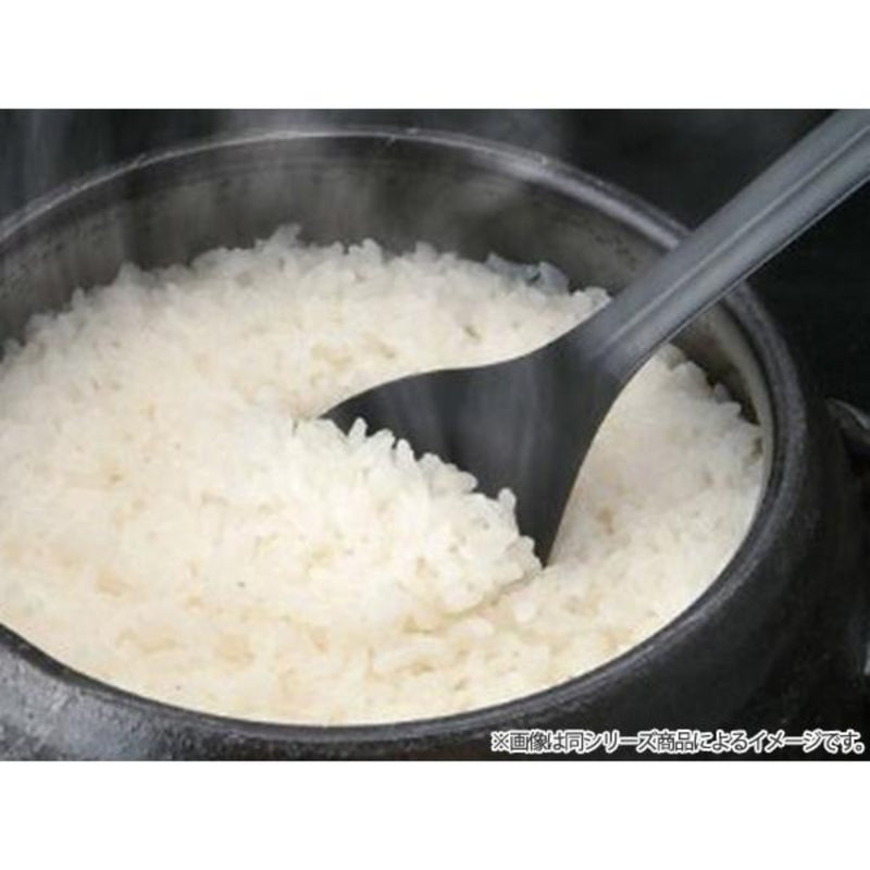 炊飯土鍋3合炊直火専用ラインホワイト萬古焼日本製