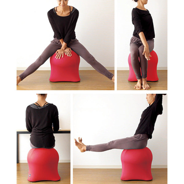 JHLYFISH CHAIR バランスボール イス バランスボール ジェリー