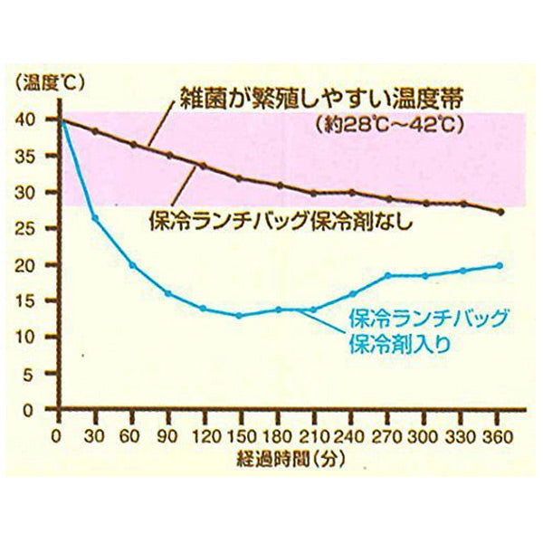 お弁当箱 行楽ランチセット 保冷バッグ付き ブルックリン 保冷剤付き