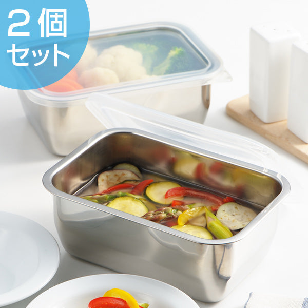 保存容器 郷技 ステンレス保存容器 800ml 2個組 – ハウジー