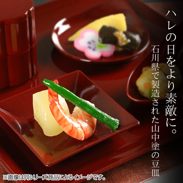 豆皿 10cm プラスチック 食器 クリーンコート加工 山中塗 日本製
