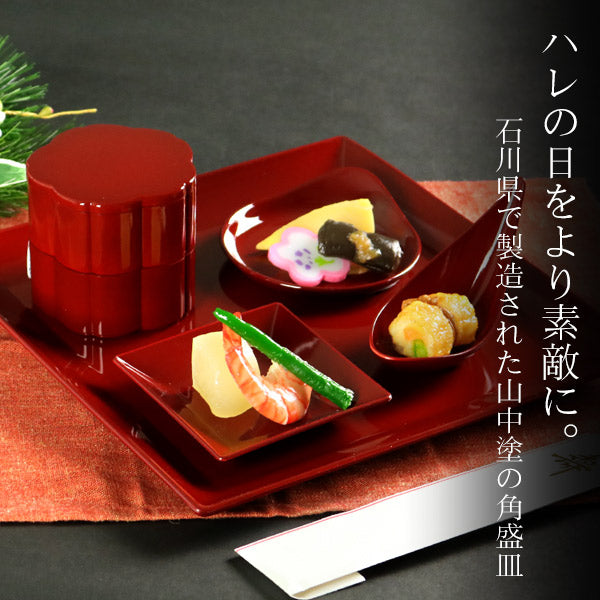 角皿26cm盛皿クリーンコート加工食器山中塗日本製