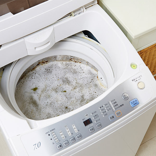 洗濯槽の洗浄剤B 全自動洗濯機用 300g クラフトマンシップ 木村石鹸