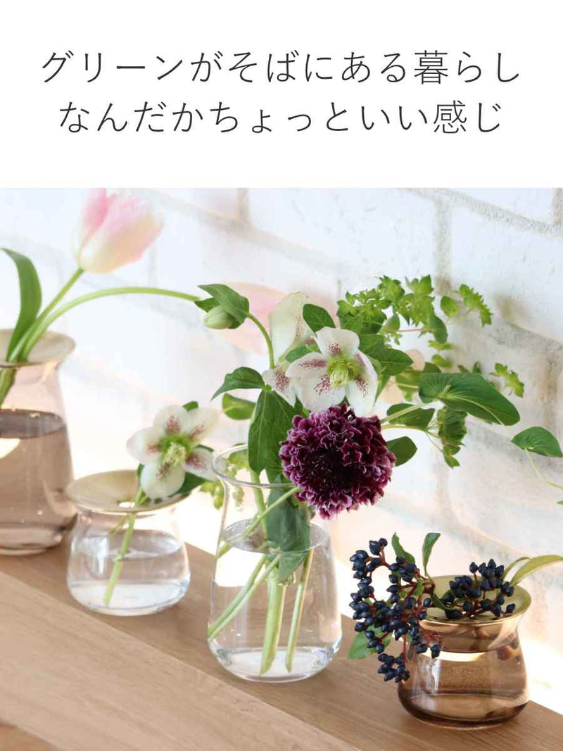 キントー 花瓶 ガラス 8×13cm 真鍮 LUNA ベース 花器 -9