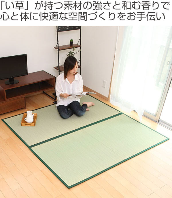 畳 国産 ユニット畳 い草 畳マット 蒼 約85×170cm 2枚セット 二つ折り い草4層 2畳
