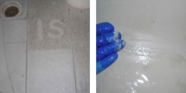 【ガイアの夜明けで紹介】お風呂洗剤500ml風呂職人技職人魂業務用