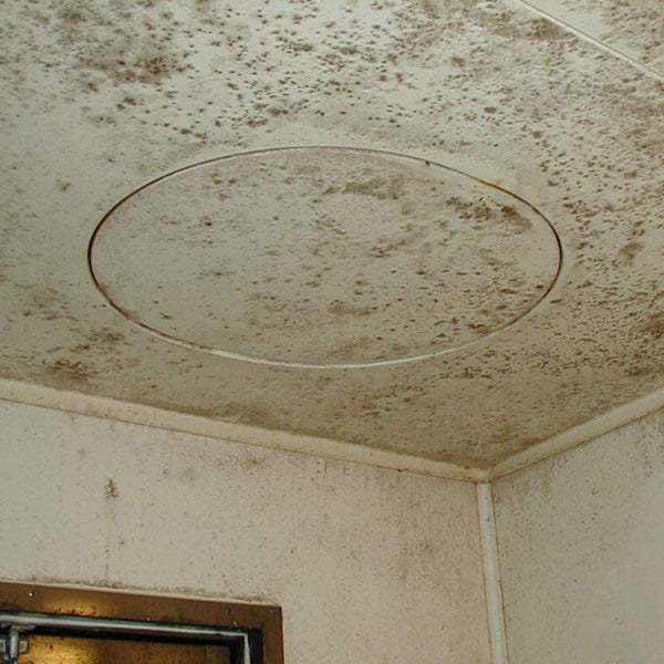 【ガイアの夜明けで紹介】カビ取り洗剤500mlカビ取り職人技職人魂業務用