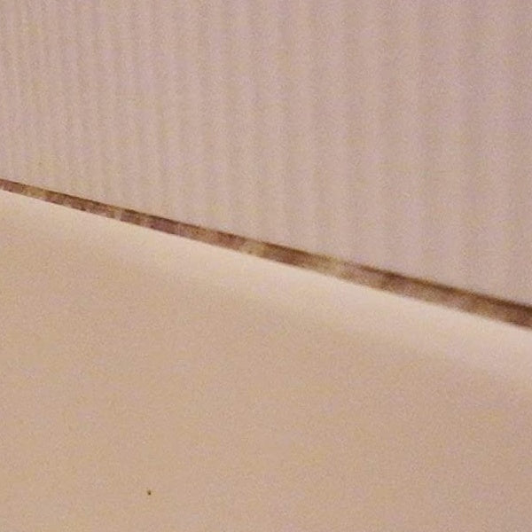 【ガイアの夜明けで紹介】カビ取り洗剤500mlカビ取り職人技職人魂業務用