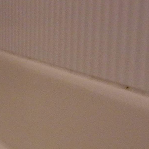 【ガイアの夜明けで紹介】カビ取り洗剤500mlカビ取り職人技職人魂業務用