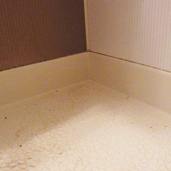 【ガイアの夜明けで紹介】カビ取り洗剤500mlカビ取り職人技職人魂業務用