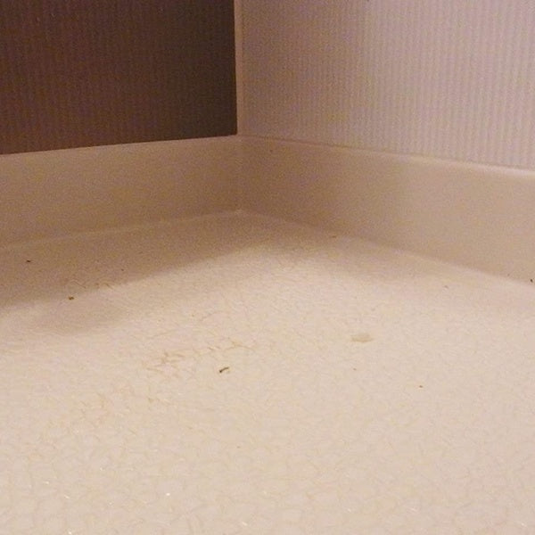 【ガイアの夜明けで紹介】カビ取り洗剤500mlカビ取り職人技職人魂業務用